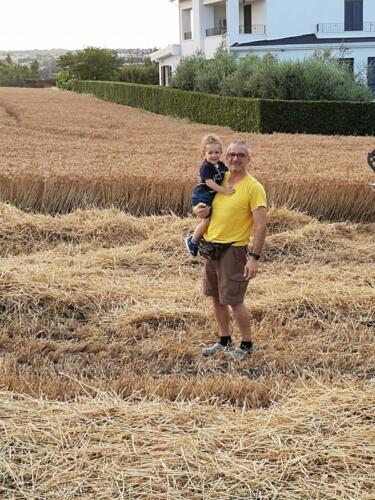 trebbiatura grano 2020